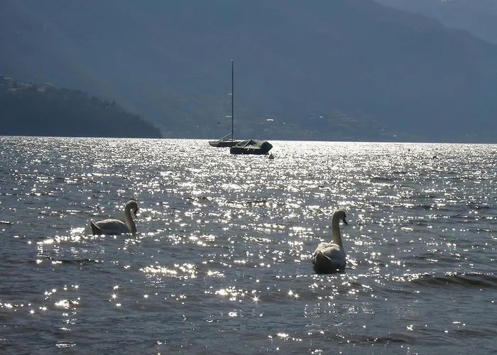Tullio 3*